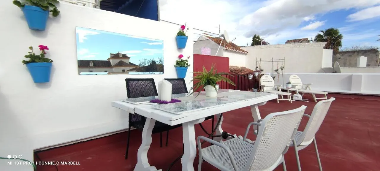 Big And Cozy Apartment With A Big Terrace In The Center Of The Old Town Marbella 0*,